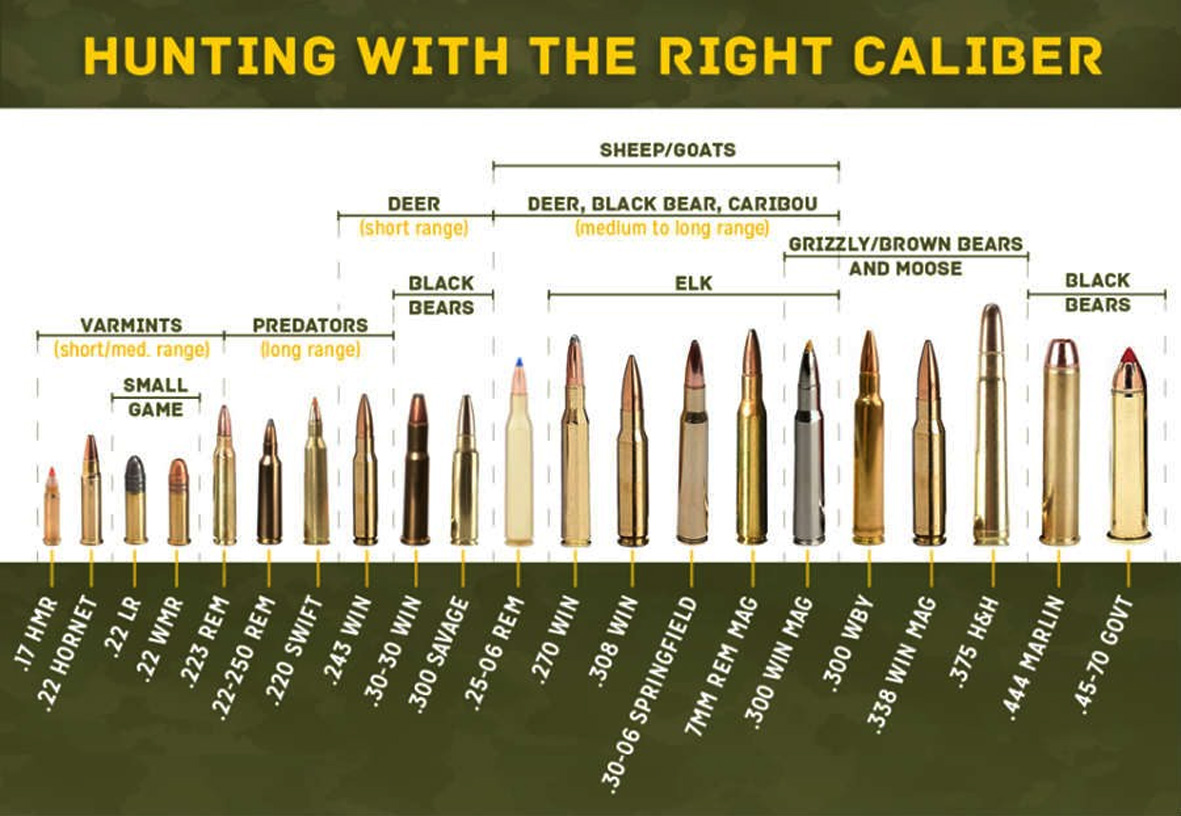 Таблица калибров патронов для нарезного оружия